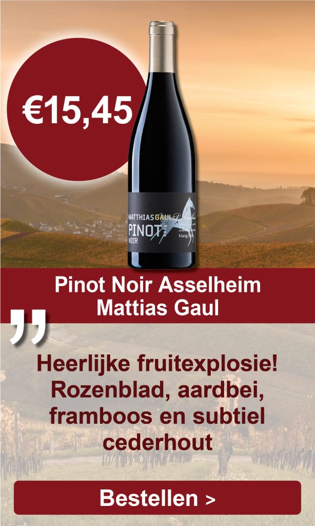 Pinot Noir Asselheim, 2109, Mattias Gaul, Pfalz, Duitsland