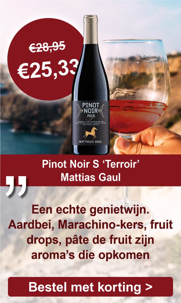 Pinot Noir S, 'terroir' 2019, Mattias Gaul, Pfalz, Duitsland