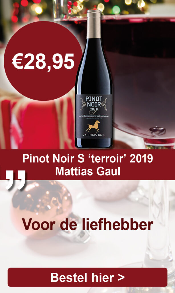Pinot Noir S, ‘terroir’ 2019, Mattias Gaul, Pfalz, Duitsland