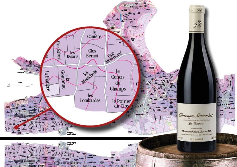 Chassagne Montrachet Red Burgundy Pinot VictorVinum