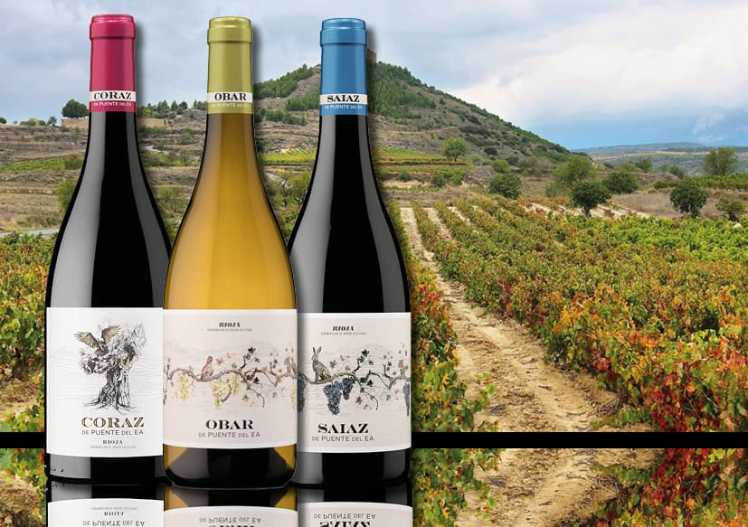 Rocking Rioja: bijzondere Spaanse wijnen!