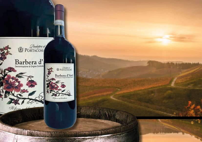 Nieuwe wijnen Barbera d’Asti DOCG 1.5 L 2021 DOC, 2022, Italië