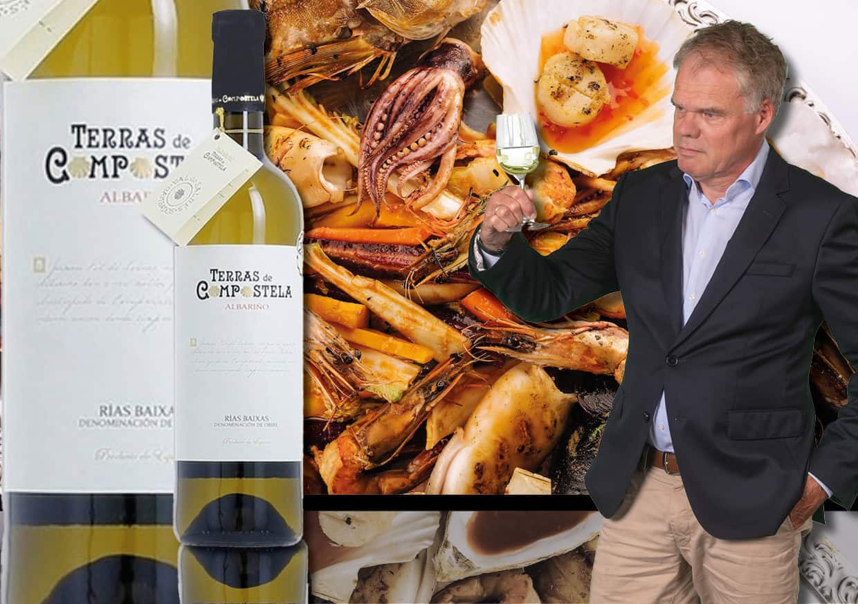 Albariño Albarino de mooiste wijn van Spanje
