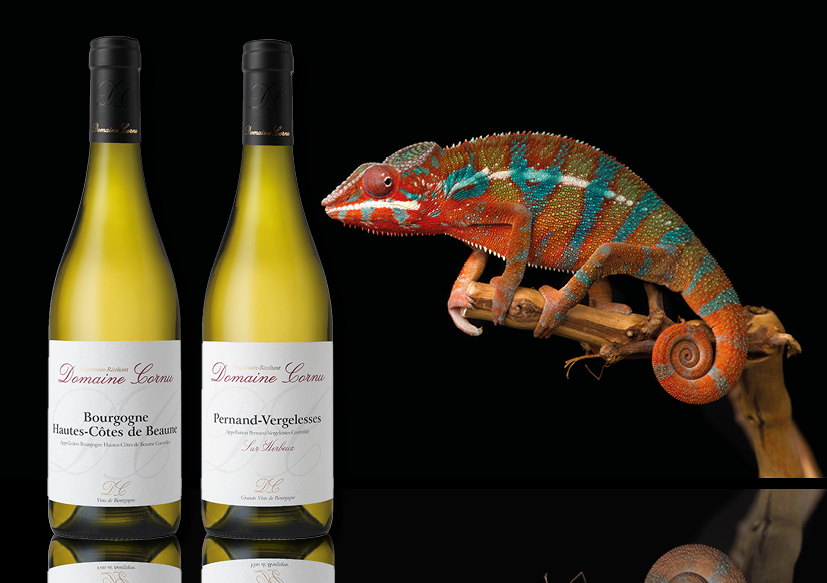 Header 240. Chardonnay de kameleon onder de wijndruiven I2 (II)