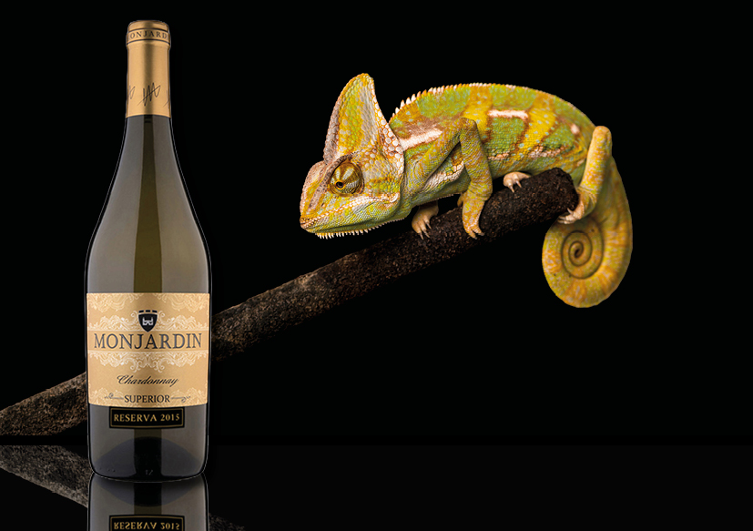 Chardonnay: de kameleon onder de wijndruiven Chardonnay reserva 2020, Castillo Monjardin, Spanje