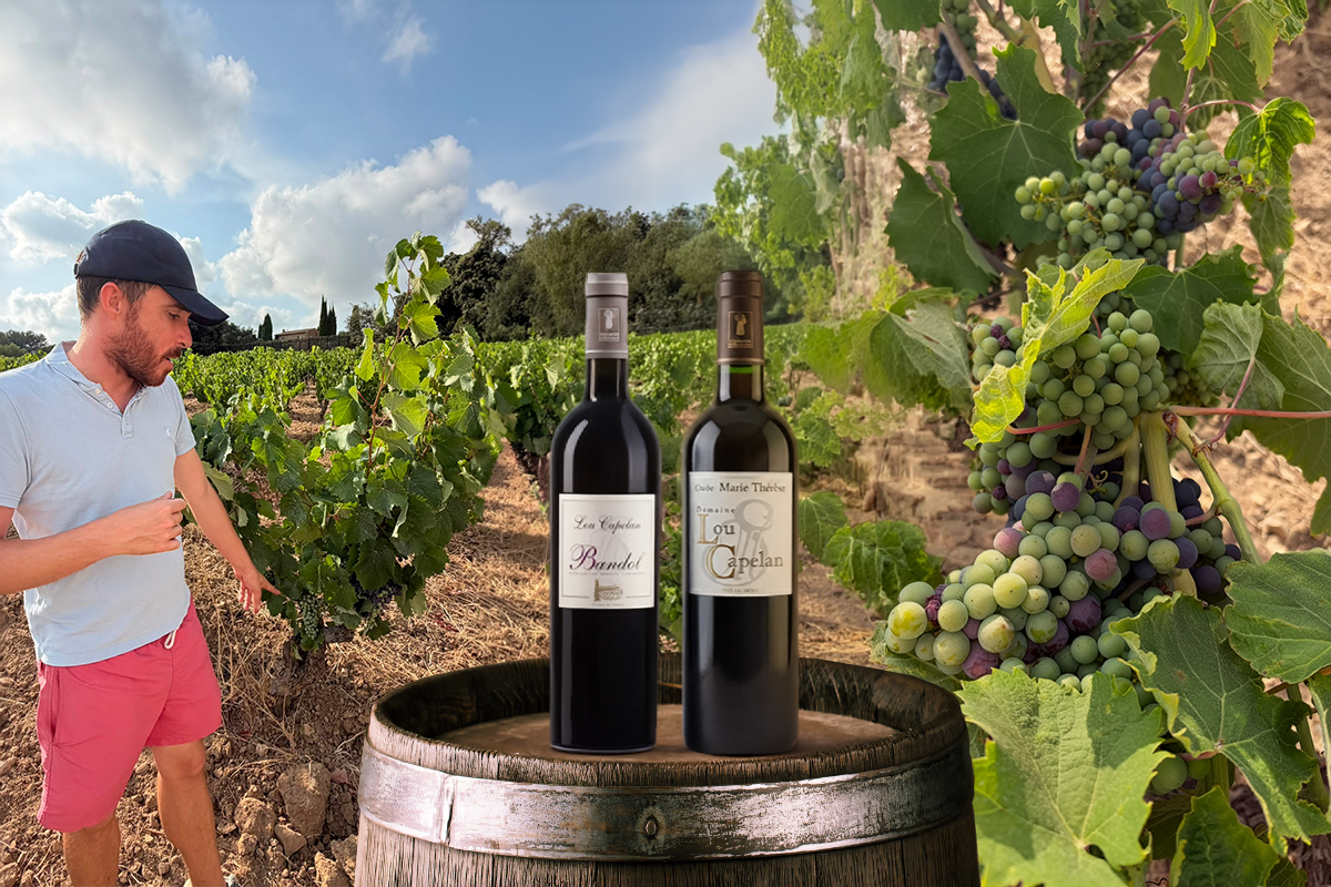 Nieuw bij VictorVinum: Magic Mourvèdre (Domaine Lou Capelan)