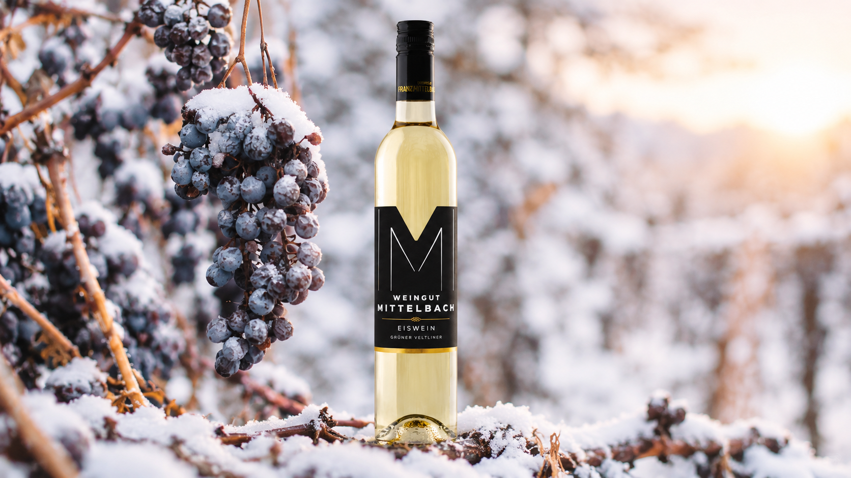 Winterse Ijswijn Tussen Besneeuwde Druiven Eiswein